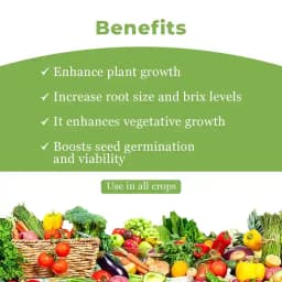 Hubel Humic Acid - Super Potassium Humate 98% 4