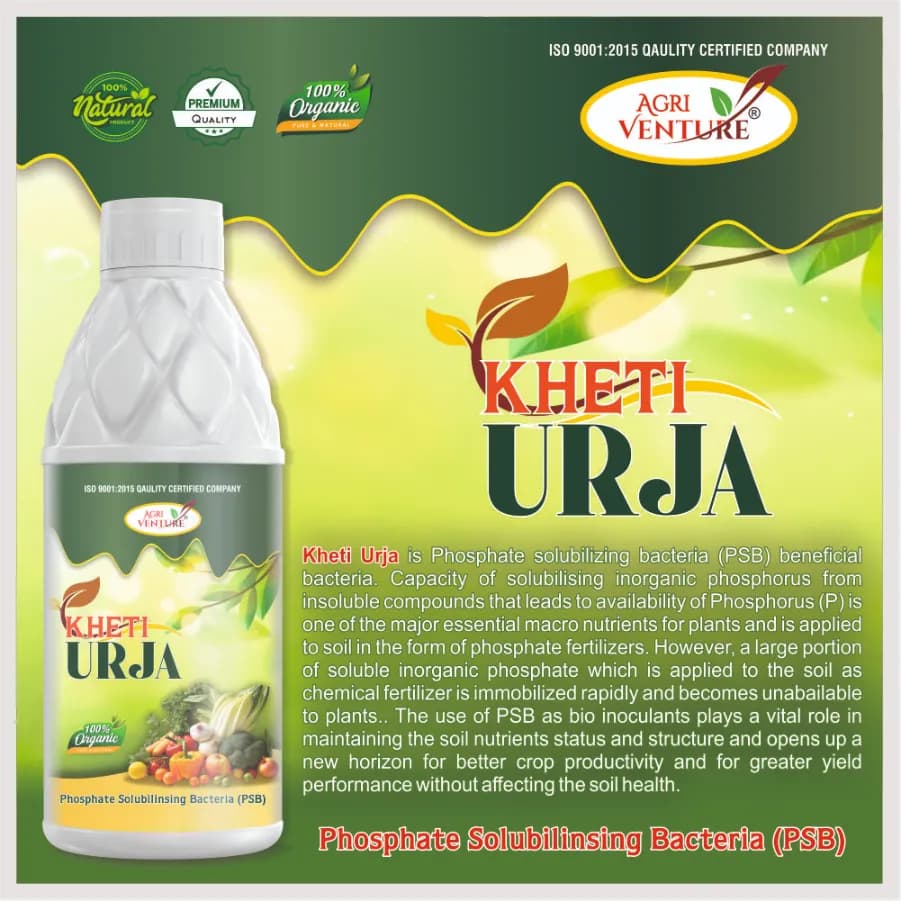 Agriventure Kheti Urja (Psb Phosphate Solubilizing Bacteria) Bactericide Organic Product Bio Fertilizers - Image 3
