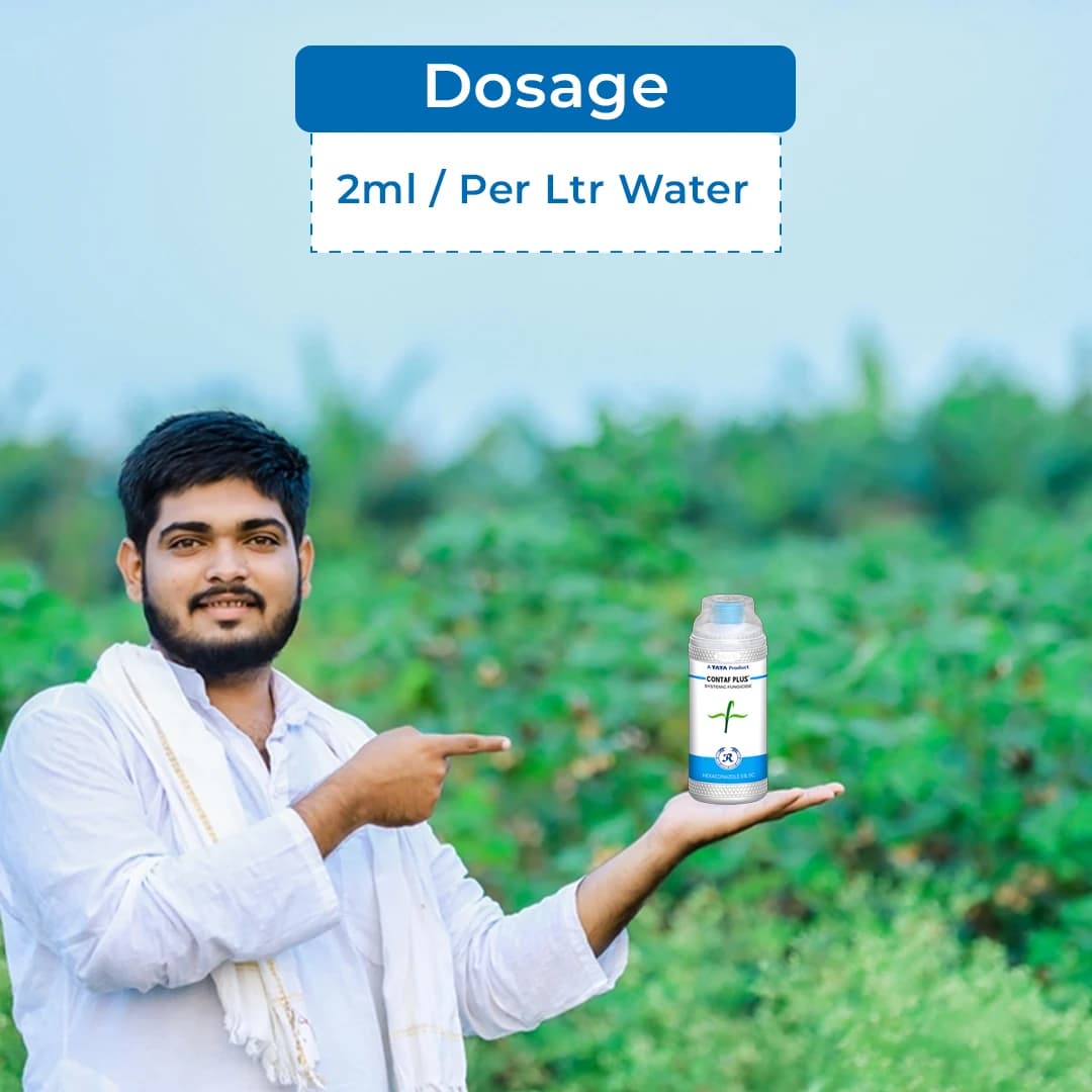 TATA Rallis CONTAF PLUS Hexaconazole 5% SC, Systemic Triazole Fungicide, Useful for Controlling Powdery Mildew - Image 5
