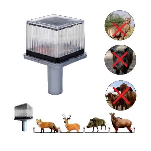 Siddhi Smart Solar Light, LED Lightening With Lithium Ion Battery Powered, Safe For Animals, Birds, And Humans - Image 2