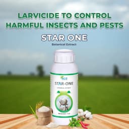 Star One - Larvicide for Bollworms, Fruit and Shoot Borer, and Leaf Miner, Non-Toxic and Effective Against All Larvae 3
