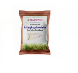 SK Agrotech Scirpophaga Incertulas (Rice Yellow Stem Borer) Pheromone Trap With Lure - Effective Control For Rice Yellow Stem Borer 2