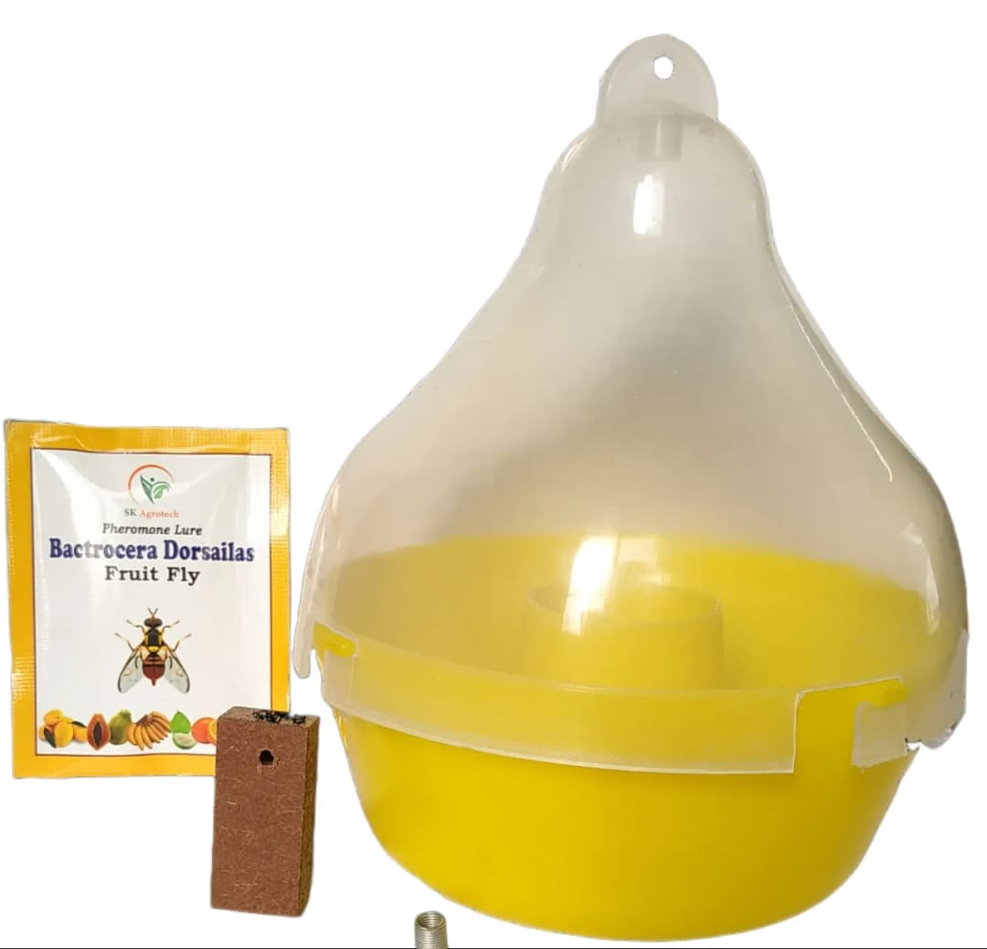 SK Agrotech Bactrocera Dorsalis Mac Phil Trap With Fruit Fly Lure - Effective Solution For Mango, Papaya, Pomegranate, Etc. - Image 2