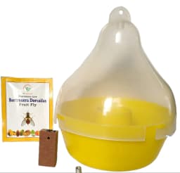 SK Agrotech Bactrocera Dorsalis Mac Phil Trap With Fruit Fly Lure - Effective Solution For Mango, Papaya, Pomegranate, Etc. 2