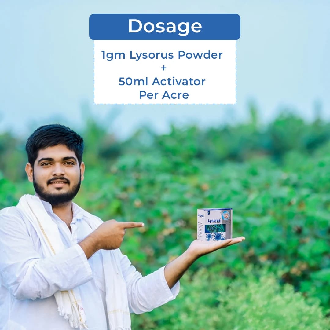 Katra Lysorus Anti-Virus and Anti-Bacteria (1 GM Lysorus Powder + 50 ML Activator) - Image 5