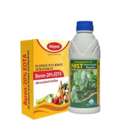 Katyayani Onion Bulb Growth Booster Combo, Advanced Nutrient Solution (Fast 100ml, Boron 20% EDTA 400gm) 5