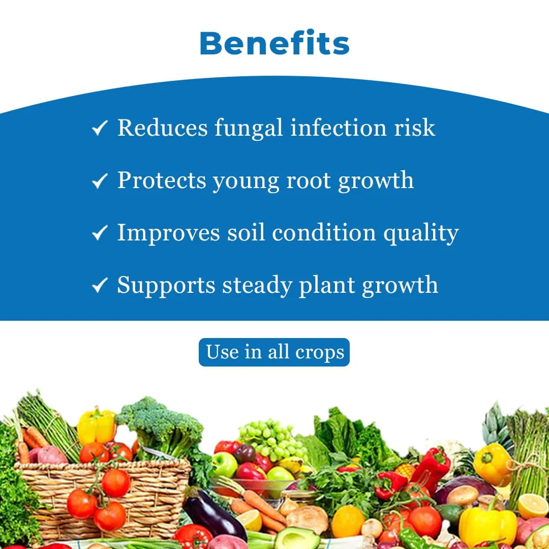 EBS Trichoderma Viride 5x10^8 Bio Fungicide, Control Soil And Seed Borne Diseases On Fruits & Vegetables Crop. - Image 4