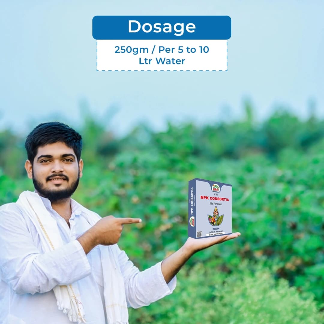 EBS NPK Consortia Bio Fertilizer, 5x10^8 Contains Bacteria that Fix Nitrogen and Phosphorus From the Atmosphere, Use for Plants & Garden - Image 5
