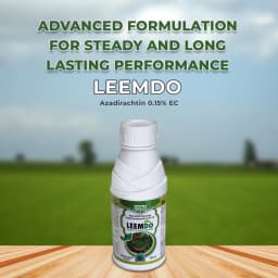 BACF Leemdo Neem Oil Azadirectin 1500 PPM 0.15% , Systemic and Contact Insecticides. 2