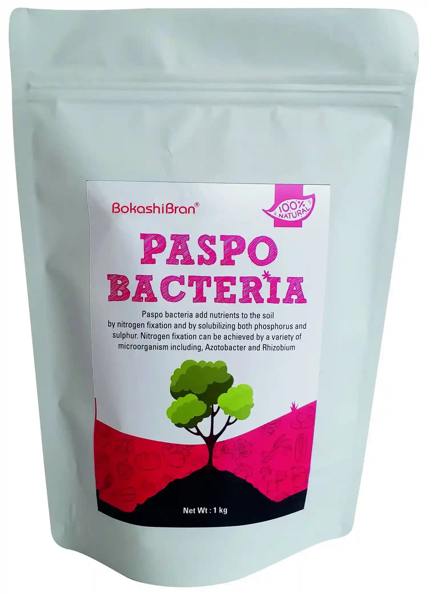 Paspo Bacteria Stimulates Plant Growth And Increase Crop Yield, Protection Against Drought and Some Soil-Borne Diseases - Image 1