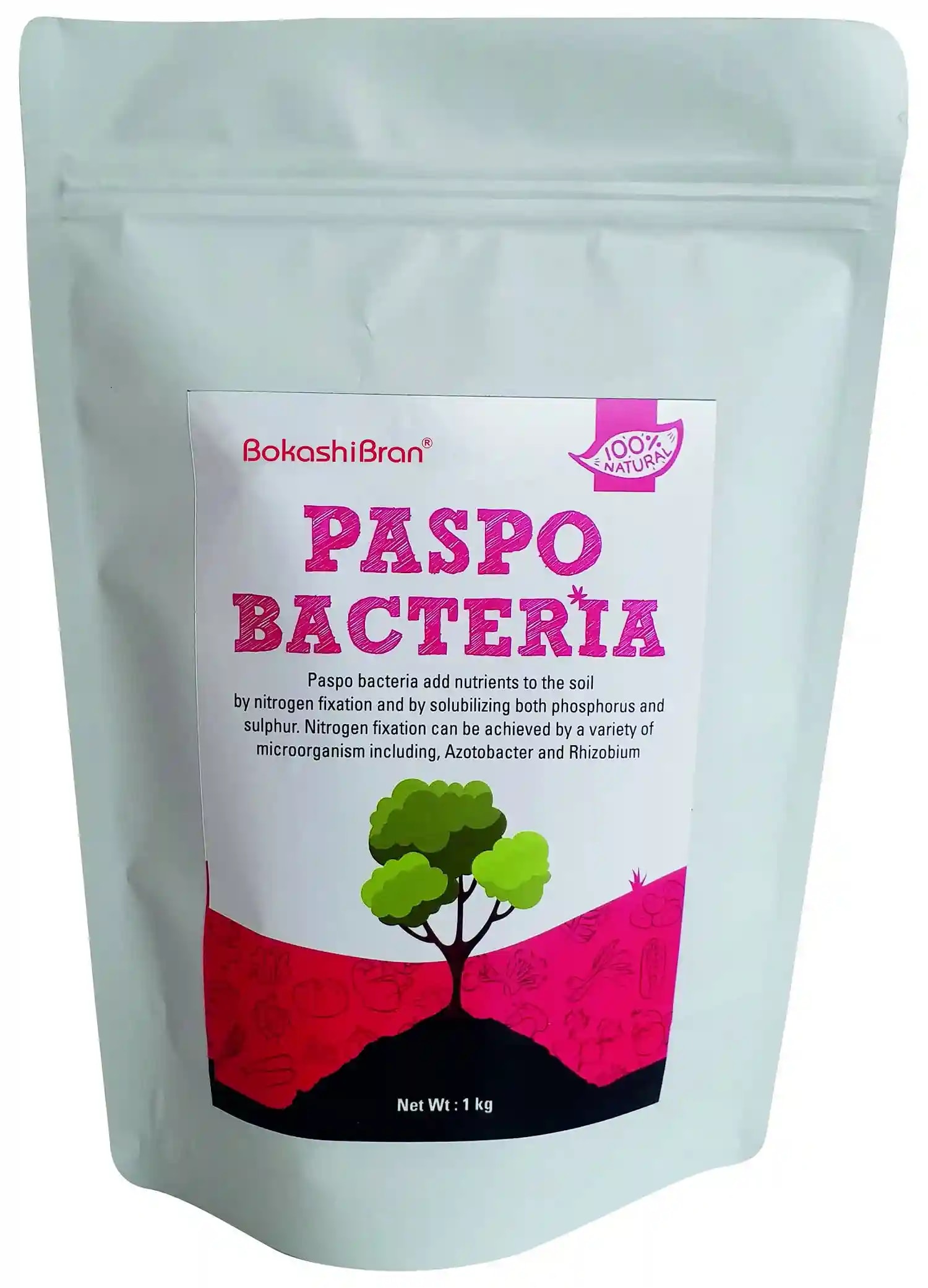 Paspo Bacteria Stimulates Plant Growth And Increase Crop Yield, Protection Against Drought and Some Soil-Borne Diseases