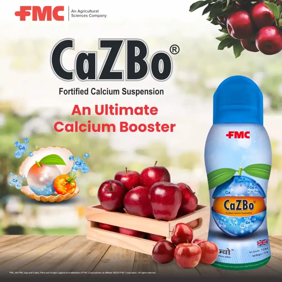 FMC Cazbo - Liquid Micronutrient Fertilizer - Image 7