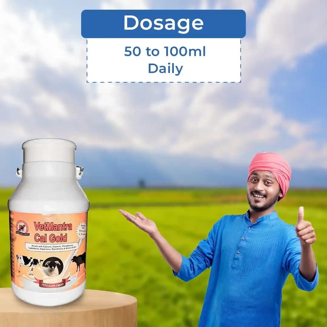 वेटमंत्रा कैल गोल्ड - दूध बढ़ाने के लिए कैल्शियम, विटामिन खनिज मिश्रण, दूध बढ़ाने के लिए सर्वश्रेष्ठ - Image 5