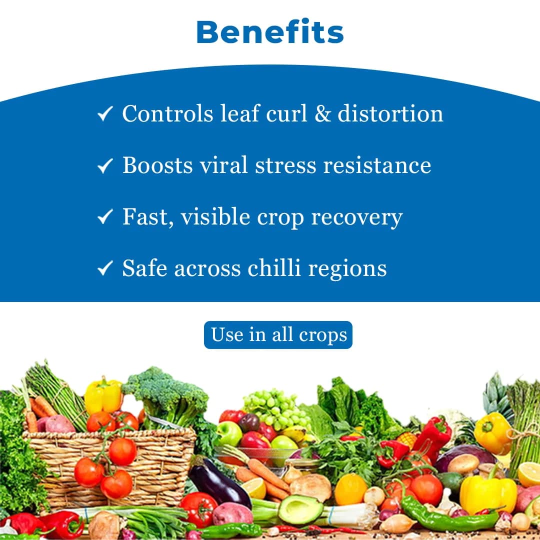 Chilli Special Combo Specially made for Chilli Crop, contains anti viral, anti fungal, flowering & fruiting enhancer, biofertilizer - Image 4