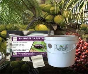 ACTIVE IPM Palm Trap + Rhinocerous Beetle Pheromone Lure (Combo Pack of 4 Sets) Pest Control Tool for Rhinoceros oryctus - Image 1