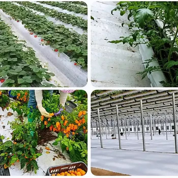 Singhal 100 GSM Garden Weed Control Barrier Sheet Mat, Landscape Fabric, Heavy Duty Weed Block Gardening Mat For Gardens (White) - Image 7