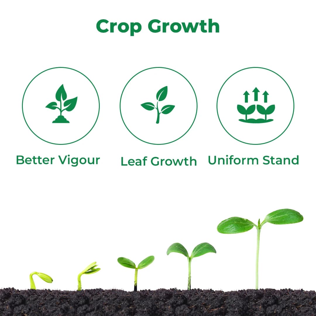 Anand Brilliant Flowering Stimulant, Increases The Yield By Improving The Flowering And Fruit Setting - Image 3