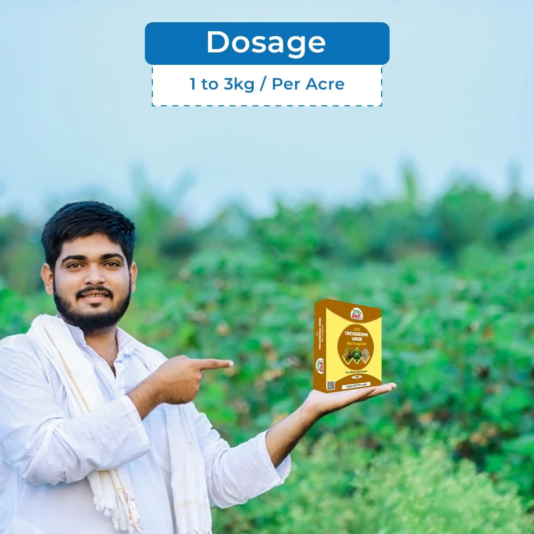 EBS Trichoderma Viride 5x10^8 Bio Fungicide, Control Soil And Seed Borne Diseases On Fruits & Vegetables Crop. - Image 5