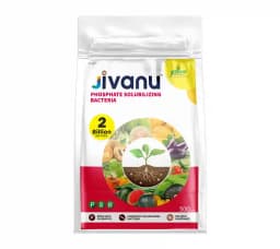 Jivanu Phosphate Solubilizing Bacteria Bio Fertilizers, Increase Stem Strength 6