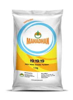 Mahadhan NPK 19:19:19 100% Water Soluble Fertilizer, Good For Balanced Growth 1