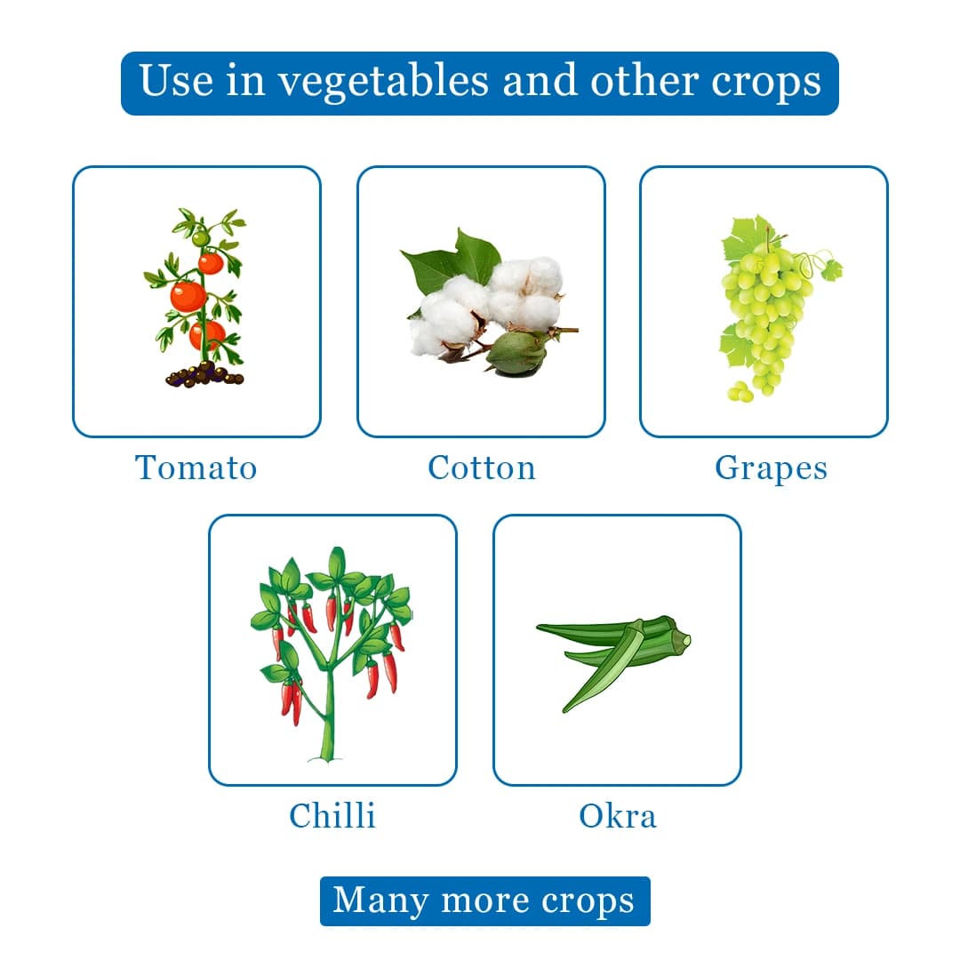 Exylon Azura Insecticide - Abamectin 1.9% EC - Image 4