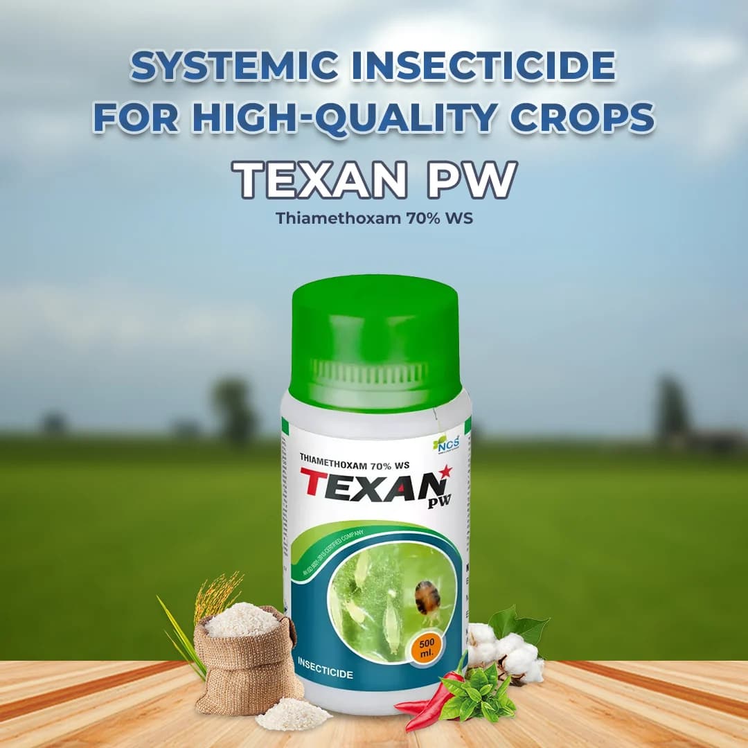 Texan PW - Thiamethoxam 70% WS Systemic Insecticide, To Control Aphids, Jassids, Thrips, and Whiteflies - Image 2