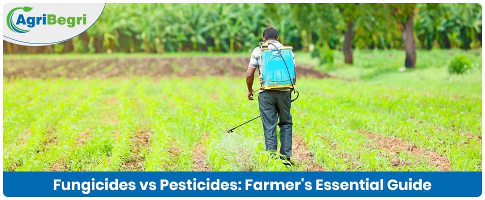Python Fungicide Fungicides vs. Pesticides: Understanding the Key Differences